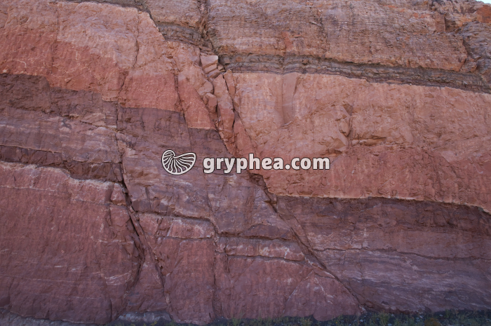 Faille Moab-2 - gryphea.com